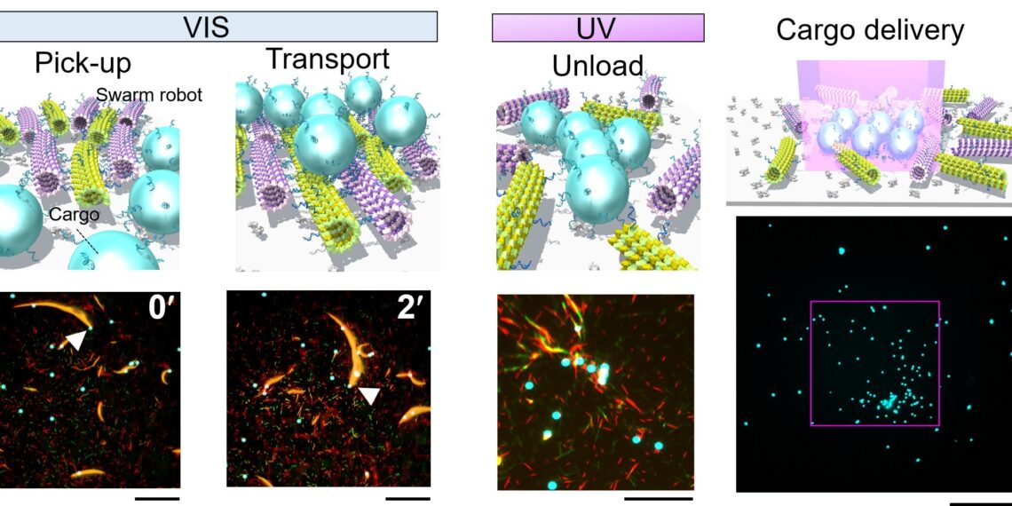 Hokkaido University Molecular Robots
