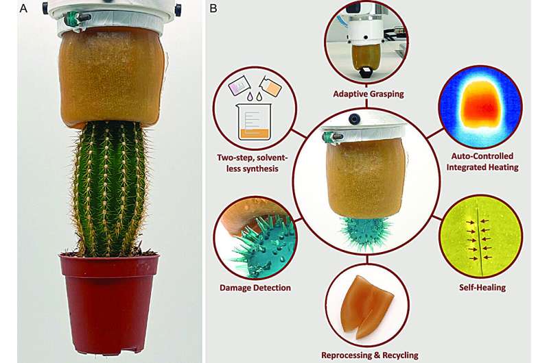 A) SHUG is adaptively grasping a hazardous object (cactus) and B) the highlights of the integrated system. Credit: Advanced Intelligent Systems (2023), DOI: 10.1002/aisy.202300223