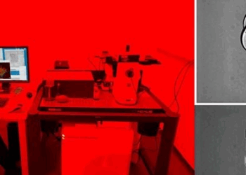 3D laser-printed flexible electronics on silicone matrix