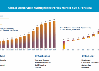 Global Stretchable Hydrogel Electronics Market Size and Forecast