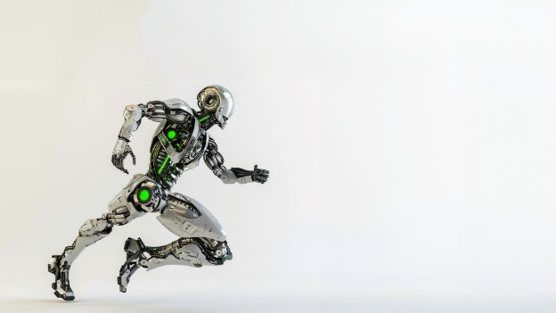 Humanoid robot